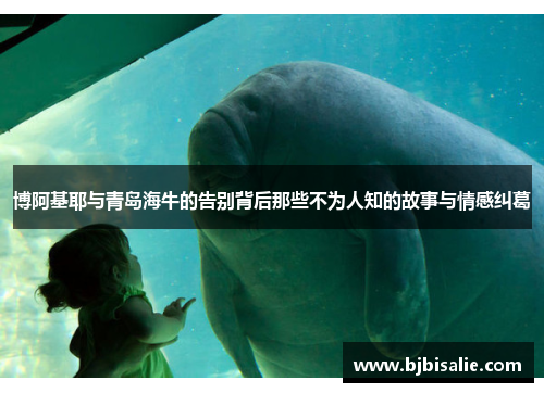 博阿基耶与青岛海牛的告别背后那些不为人知的故事与情感纠葛